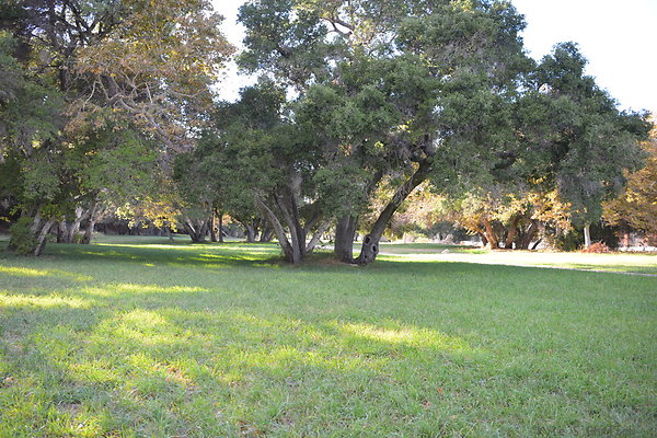 DSC 7557