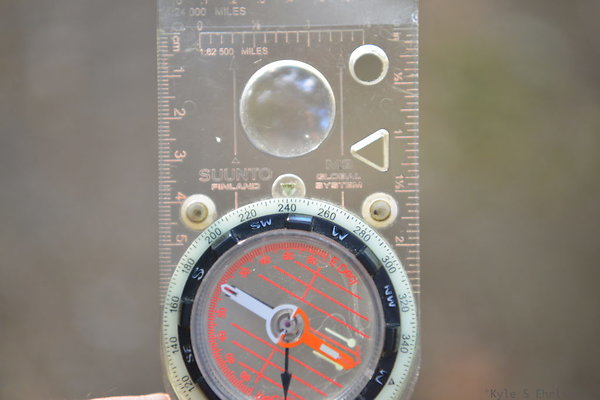 DSC 7567