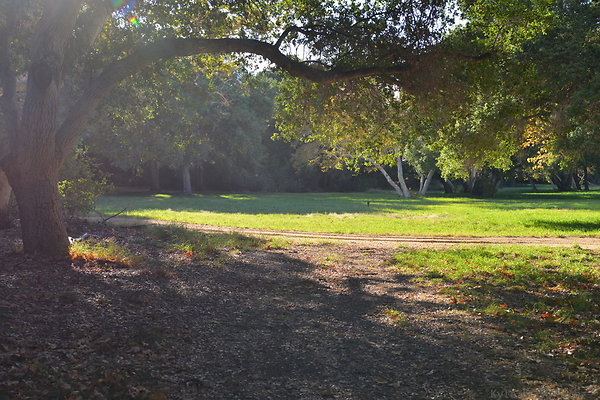 DSC 7569