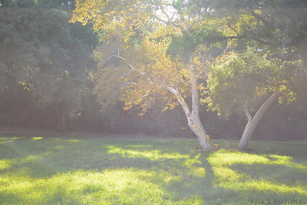 DSC 7551