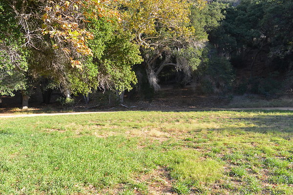DSC 7562