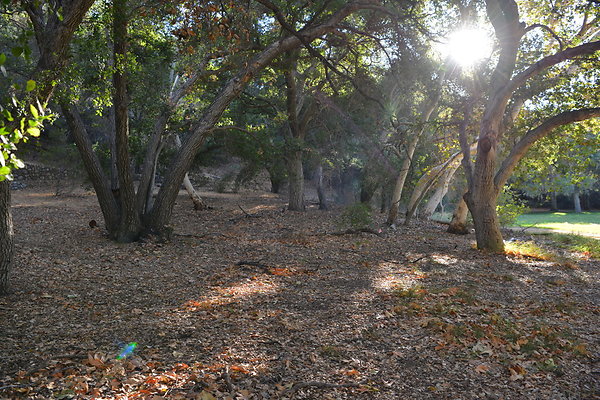 DSC 7570