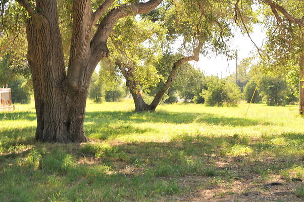 DSC 0758