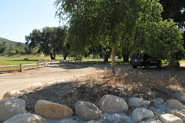 DSC 0770