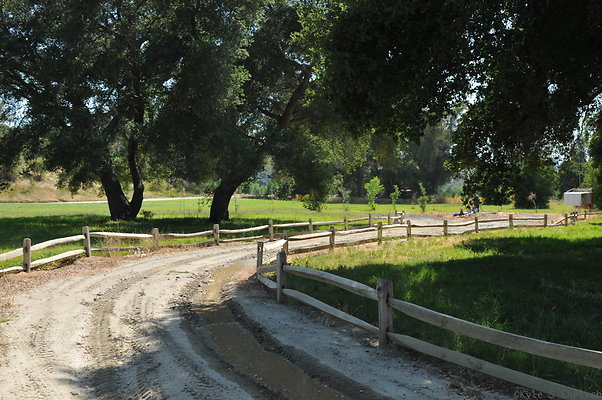 DSC 0685