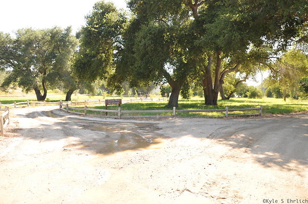 DSC 0761
