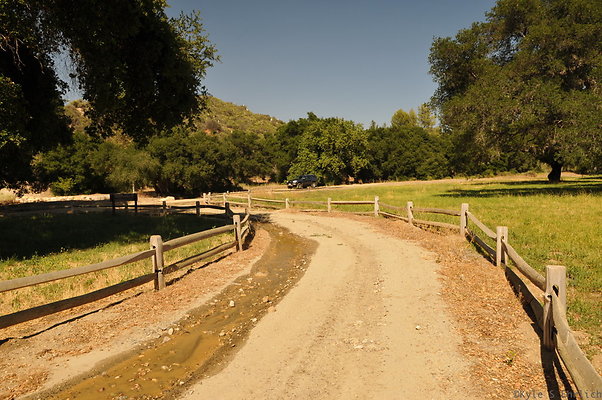 DSC 0702