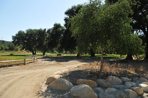 DSC 0677