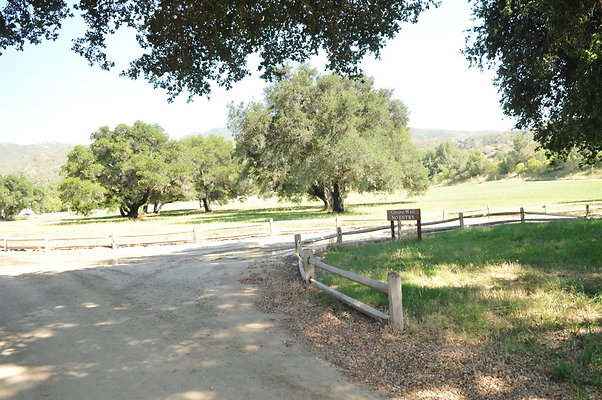 DSC 0708