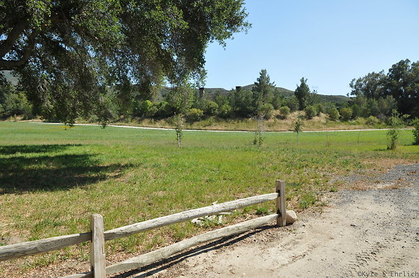 DSC 0687