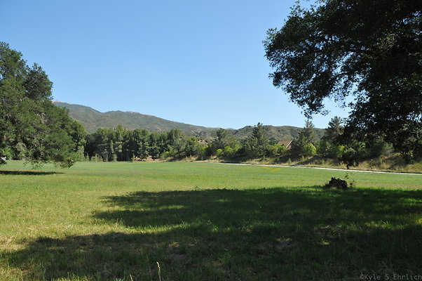 DSC 0697
