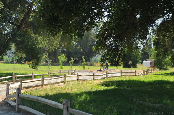 DSC 0686