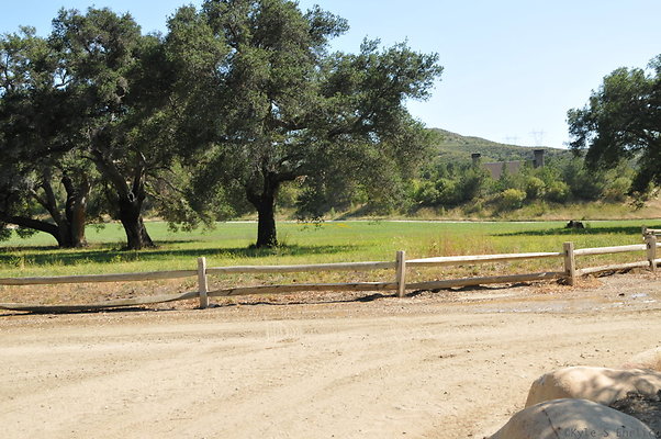 DSC 0766