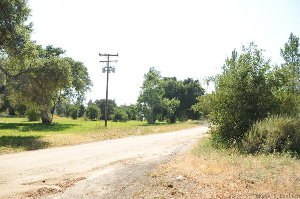 DSC 0719