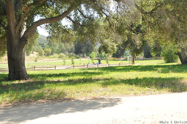 DSC 0716