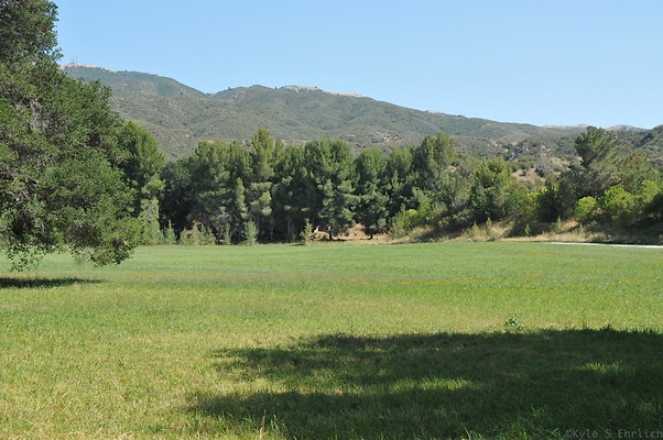 DSC 0695
