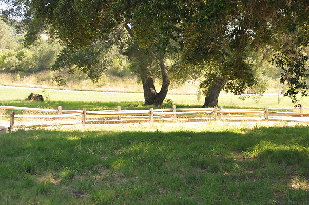 DSC 0755