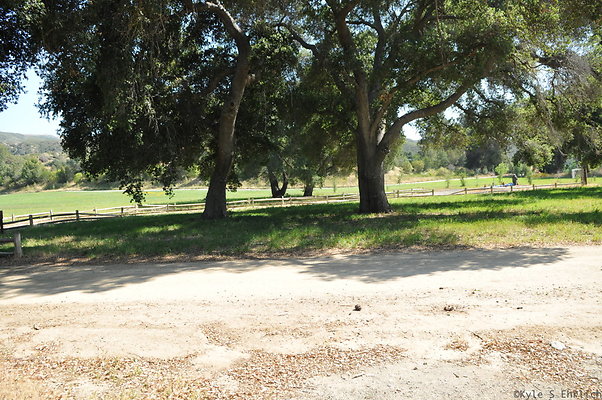 DSC 0714