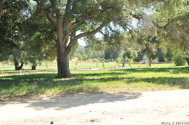 DSC 0715