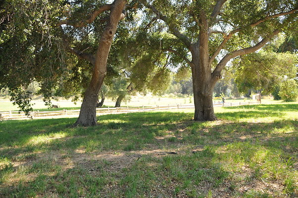 DSC 0706