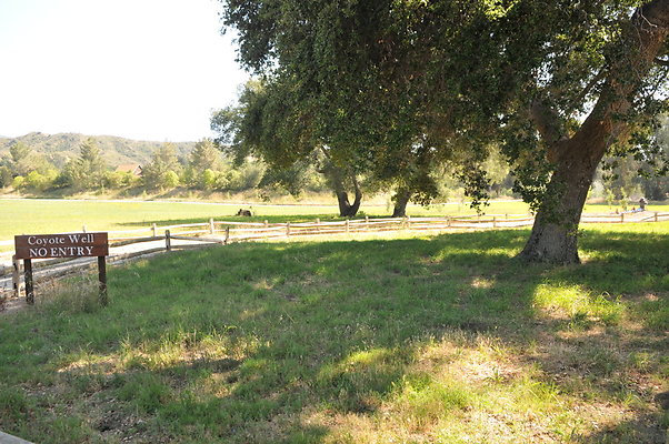 DSC 0753
