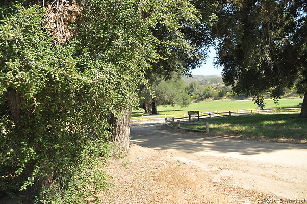 DSC 0717
