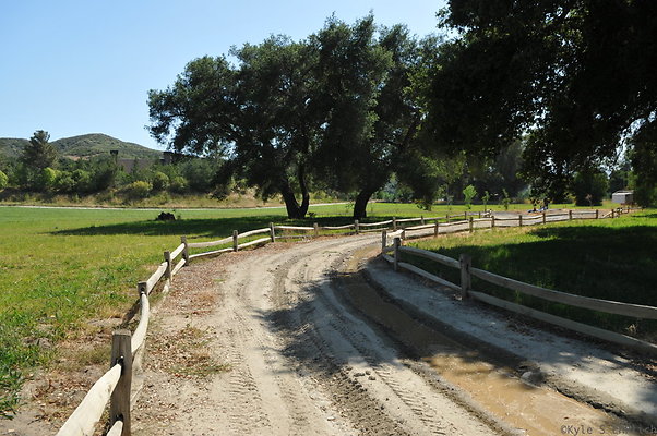 DSC 0684