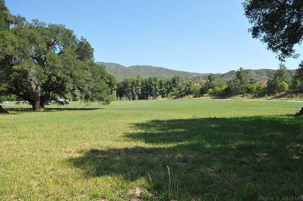 DSC 0694
