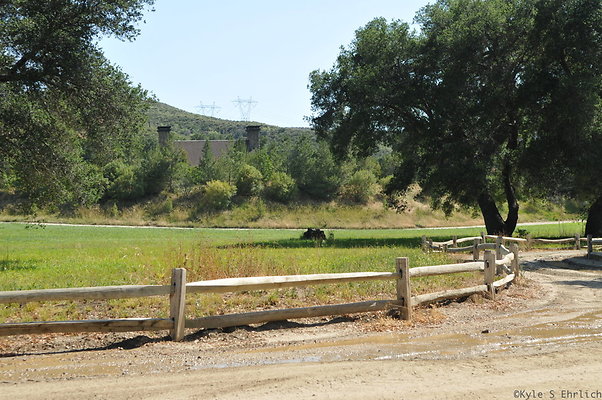 DSC 0680