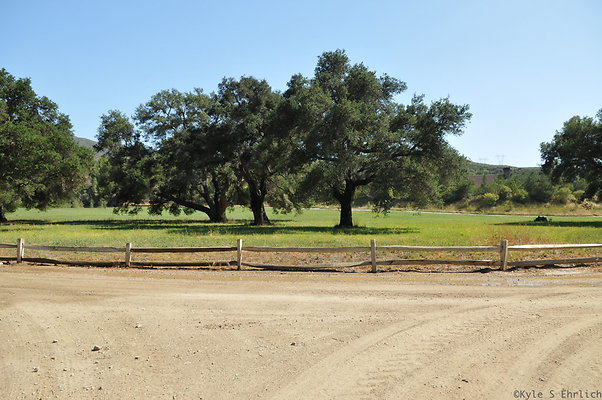 DSC 0676