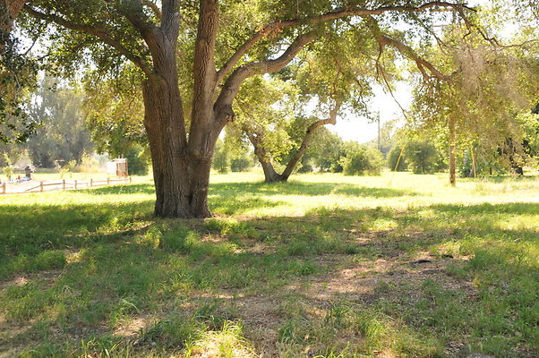 DSC 0757