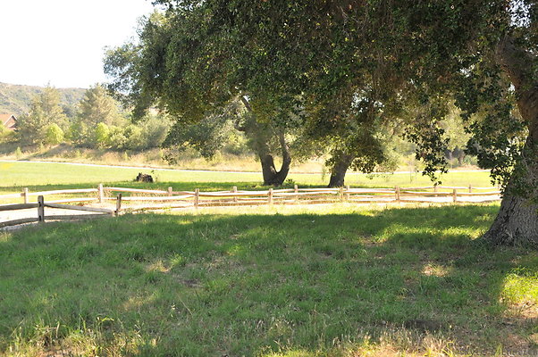 DSC 0754