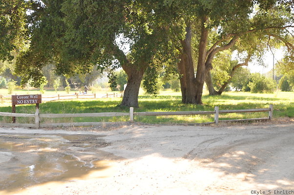 DSC 0760