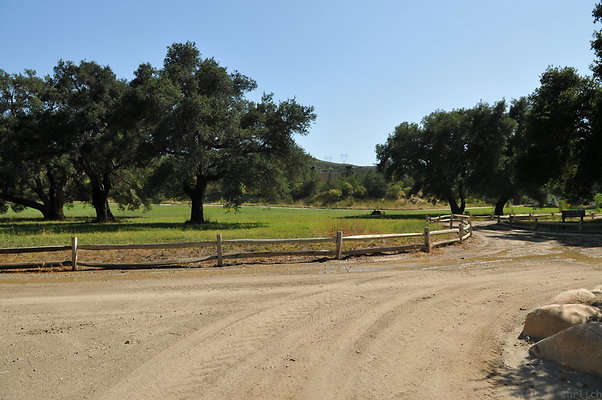DSC 0673