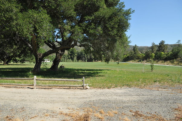 DSC 0691