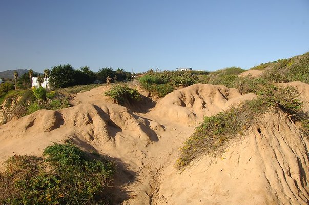 DSC 3070