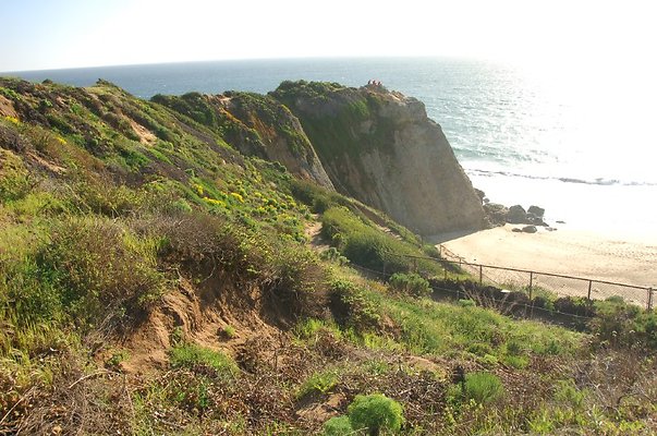 DSC 3006