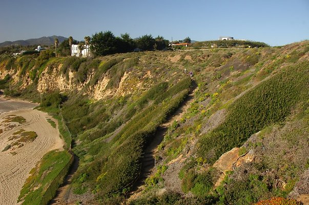 DSC 3083