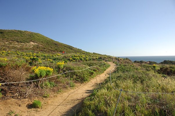DSC 2985
