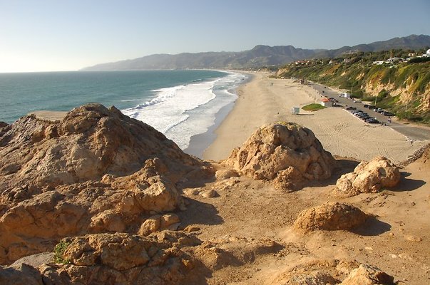DSC 3101