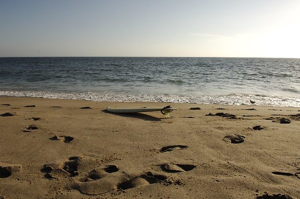 DSC5454