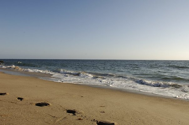  DSC5452