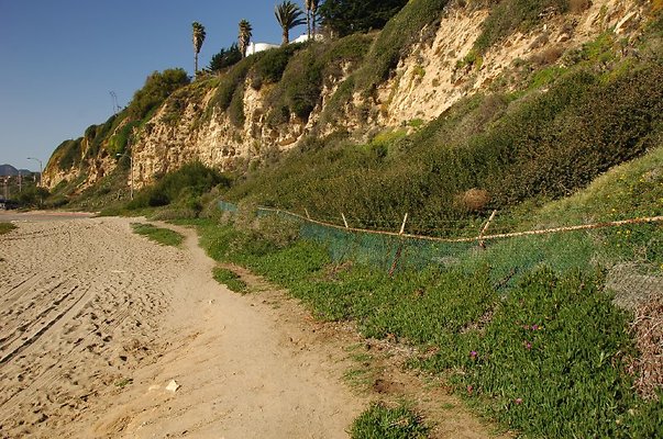 DSC 2926