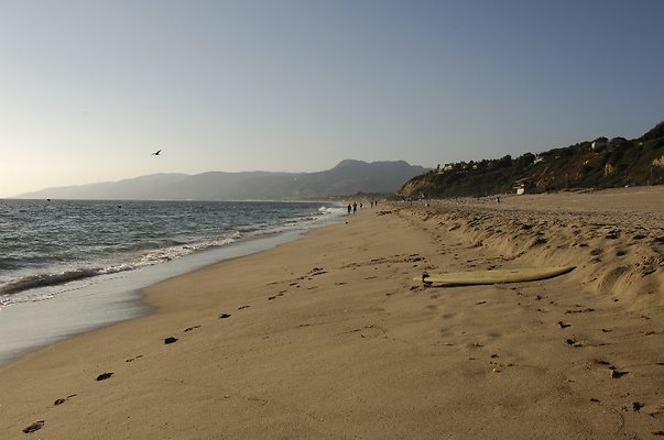  DSC5434
