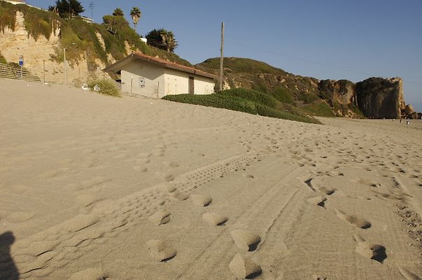  DSC5377