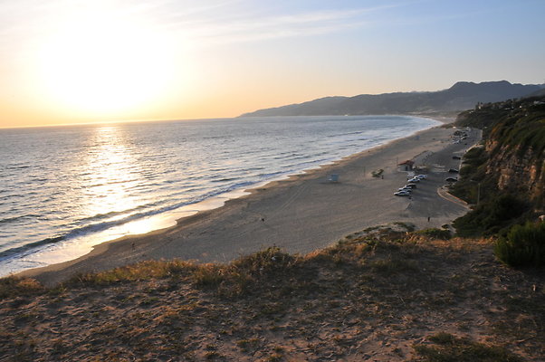 DSC 1130