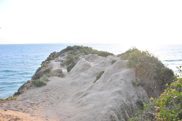 DSC 1094