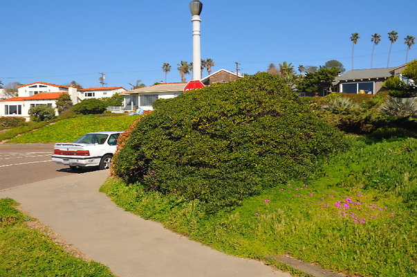 DSC 9344