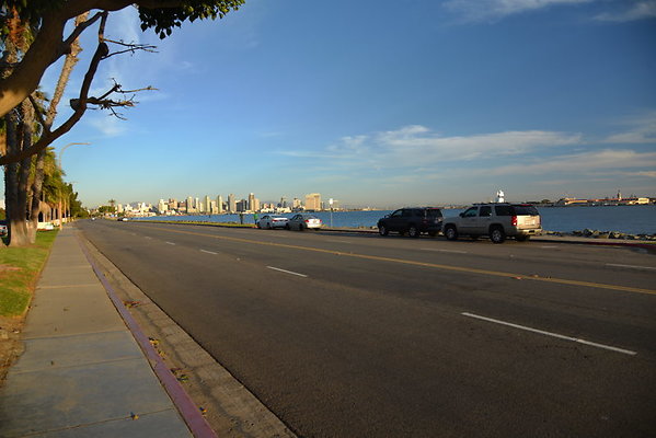 DSC 7785