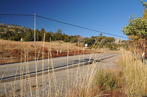DSC 4914